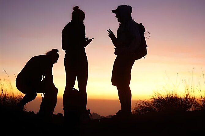 Mount Batur Sunrise Trekking with Natural Hot Springs - Coffee Plantation Stop: A Calm Reset After Volcano Time