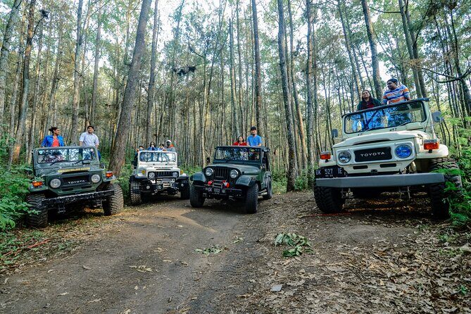 Mount Batur Trekking by 4wd Jeep - The Summit Hike: Short Time, Real Focus