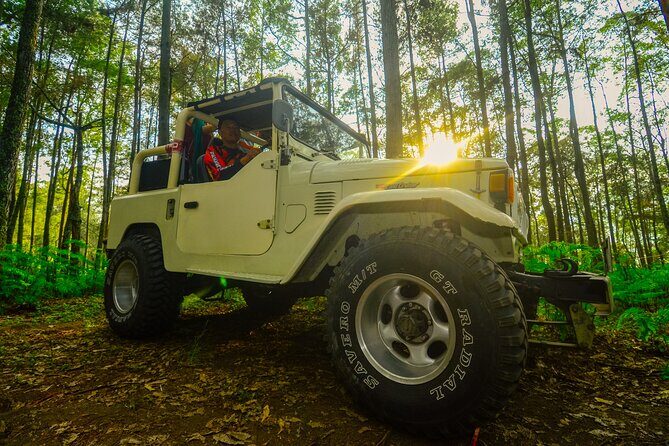 Mount Batur Trekking by 4wd Jeep - The 4WD Jeep Ride: Fast, Fun, and Worth Paying For
