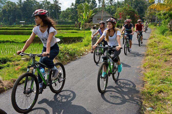 Mountain Cycling Tour - The ride itself: villages, temples, rice fields, then Taro’s bamboo