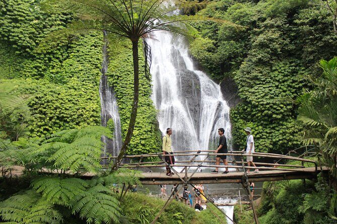 Munduk Private Customized Highlights Tour - Wanagiri Viewpoints and the Bayan Ancient Tree