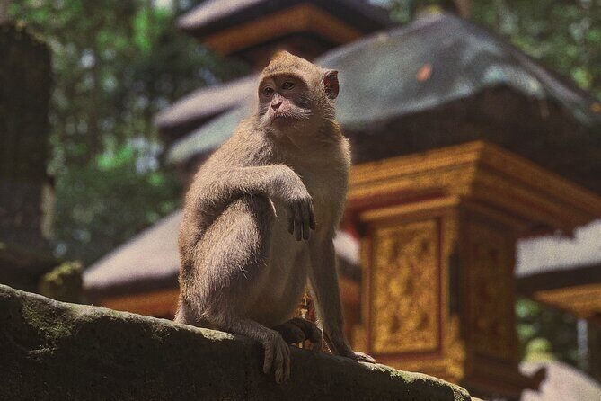 Munduk: Tamblingan jungle trek, waterfall, Ulun Danu temple - Getting There and Staying On Schedule: Pickup, Timing, and Comfort