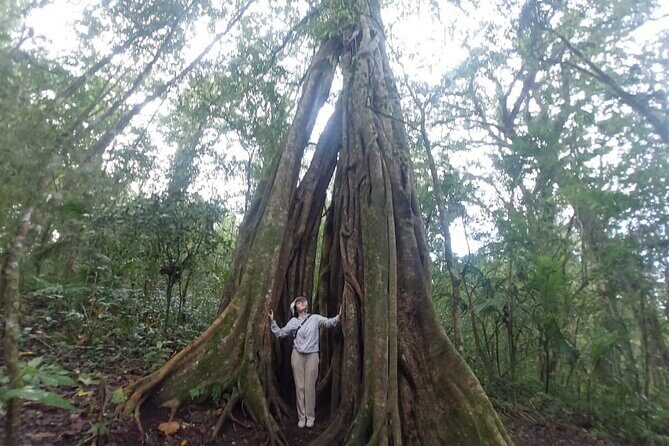 Munduk Twin Lake Jungle Trek with Sacred Forest Temples&Canoeing - Transport and Team Support: Private Pickup That Matters