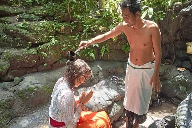 natural holy waterfalls healing tour. - Tegalalang Rice Terrace lunch: a full meal with a Balinese-food reset