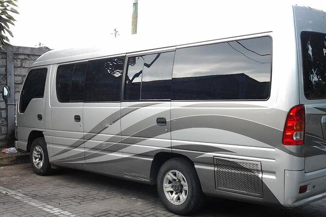 Ngurah Rai International Airport Private Arrival Transfer - The One Thing to Watch: Flight and Hotel Details