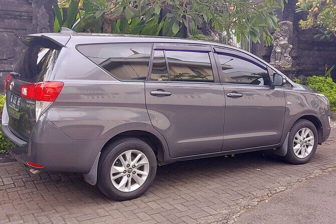 Ngurah Rai International Airport Private Arrival Transfer - Driver Communication and Airport Reality