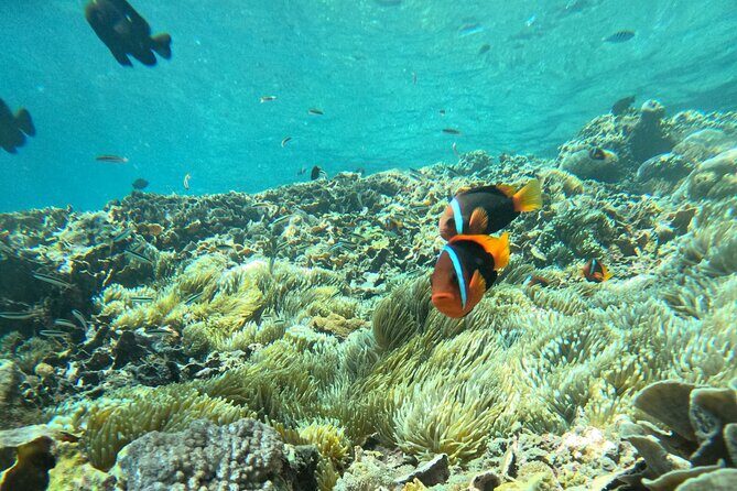 No:#1. Penida Island Tour And Snorkeling With Manta - The boat day reality: what “12 hours 30 minutes” feels like