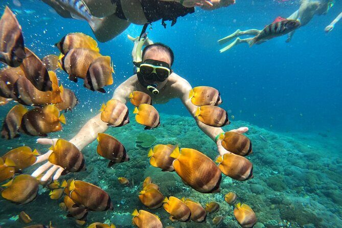 No:#1. Penida Island Tour And Snorkeling With Manta - The human factor: communication and equipment quality can vary