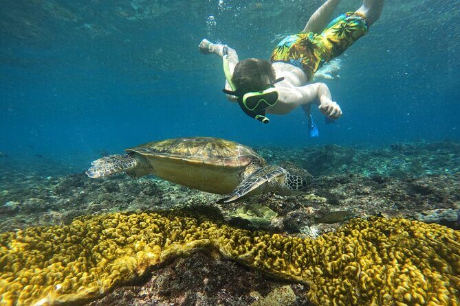 No:#1. Penida Island Tour And Snorkeling With Manta - Who should book this Penida manta snorkeling tour?