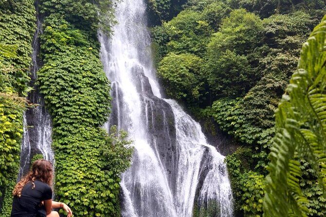 North Bali Hidden Gems Tour Ulun Danu Temple Twin Lakes Waterfall - Handara Gate photo stop: make 30 minutes count