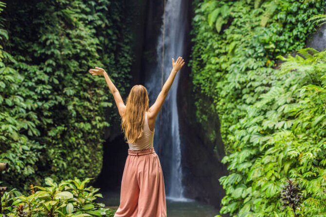 North Bali Nature Escape Rice Terraces, Temples & Waterfall - Your driver, your comfort, and why the small details matter