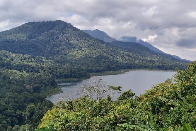 North Bali Private Tour - All Inclusive - Getting Started in Ubud: AC Comfort and Door-to-Door Pickup