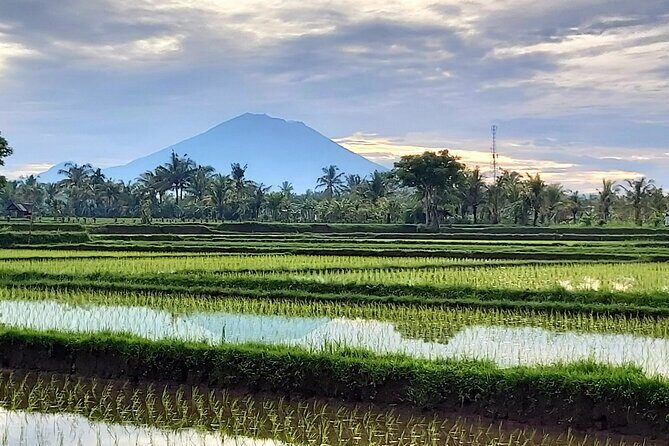 North Bali Private Tour - All Inclusive - Your Guide and the Photo Game
