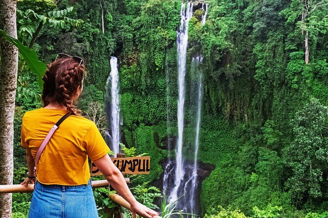 North Bali: Sekumpul Waterfalls and Ulun Danu Temple Tour - What’s Included vs What’s Not (So You’re Not Surprised)