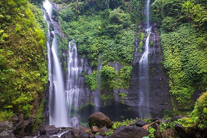 North Bali Tour: Banyumala Waterfall & Wanagiri Hidden Hills - Key Things To Know Before You Go