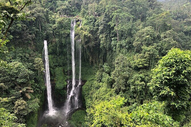 North Bali Tour: Banyumala Waterfall & Wanagiri Hidden Hills - How North Bali sets the tone: nature, temples, and photo stops