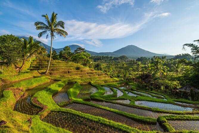 Northern Bali Tour - Private Full Day Tour - All Inclusive - Taman Ayun Temple: Royal Water Temple and UNESCO-level setting