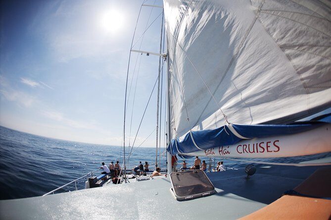 Nusa Lembongan: Island Discovery Cruise - Snorkeling Crystal Bay: the core of the afternoon