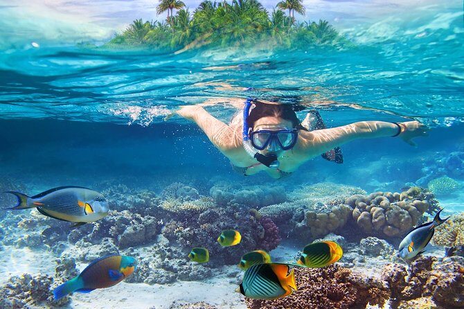 Nusa Lembongan Island: Snorkeling & Mangrove Forest Day Tour - Quick hits before you go