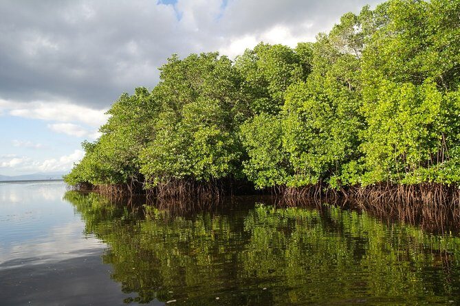 Nusa Lembongan Island: Snorkeling & Mangrove Forest Day Tour - A 7:30 departure that actually gets you there (and back) smoothly