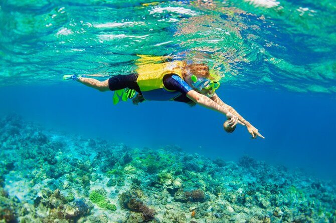 Nusa Lembongan Island: Snorkeling & Mangrove Forest Day Tour - Coral snorkeling you can enjoy, even if you’re not a pro