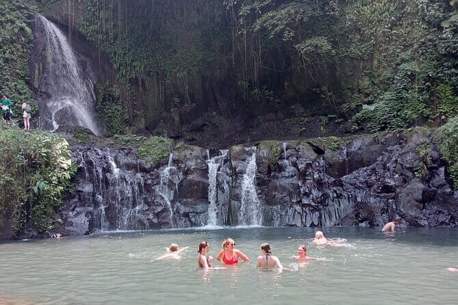 Nusa Penida 2Day 1Night With Accomodation - The guide experience: driving, timing, and safety-minded professionalism