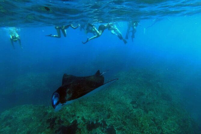 Nusa Penida 4 Spot Snorkeling with Manta and Island Tour - Key highlights worth planning for