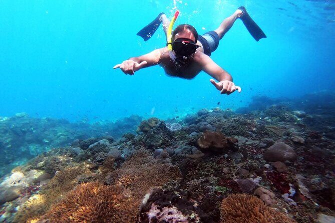 Nusa Penida 4 Spot Snorkeling with Manta and Island Tour - The 4-spot snorkeling with Manta Bay: what to expect underwater