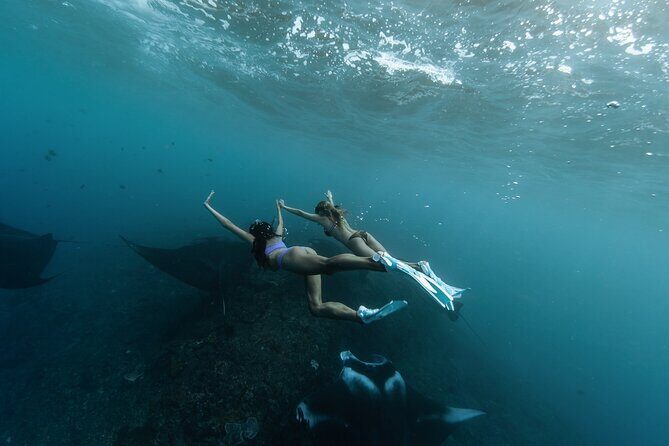 ️Nusa Penida by Private Boat - Snorkeling 4 spots, Swim with Mantas + Land Tour - Getting to Nusa Penida from Serangan: the morning rhythm
