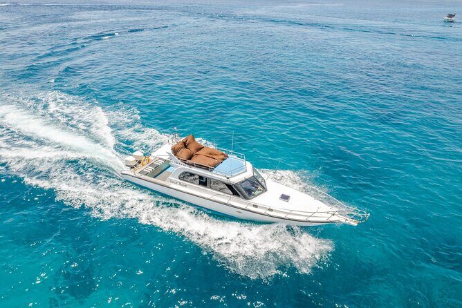 ️Nusa Penida by Private Boat - Snorkeling 4 spots, Swim with Mantas + Land Tour - Kelingking cliff car tour: the T-Rex views without the hike