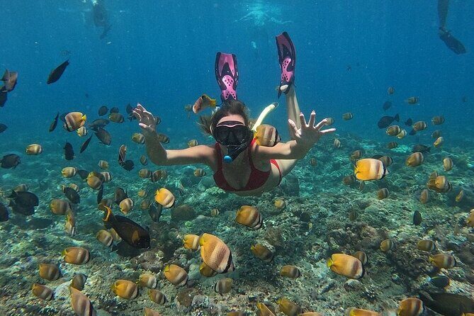 ️Nusa Penida by Private Boat - Snorkeling 4 spots, Swim with Mantas + Land Tour - Wall Bay Point: mangroves and reef color