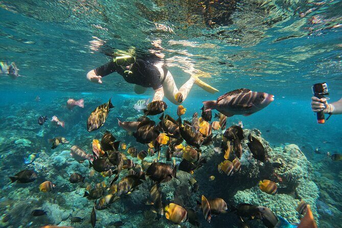 Nusa-Penida customize Tour - All inclusive - Road time vs. sightseeing time: the pacing debate you should plan for