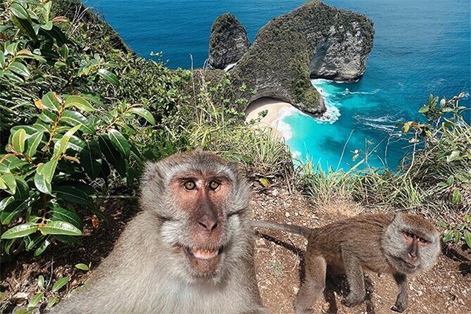 Nusa Penida day trip: boat, 4 snorkeling, Manta rays & Land tour - Price and Value at $78: What You’re Really Paying For