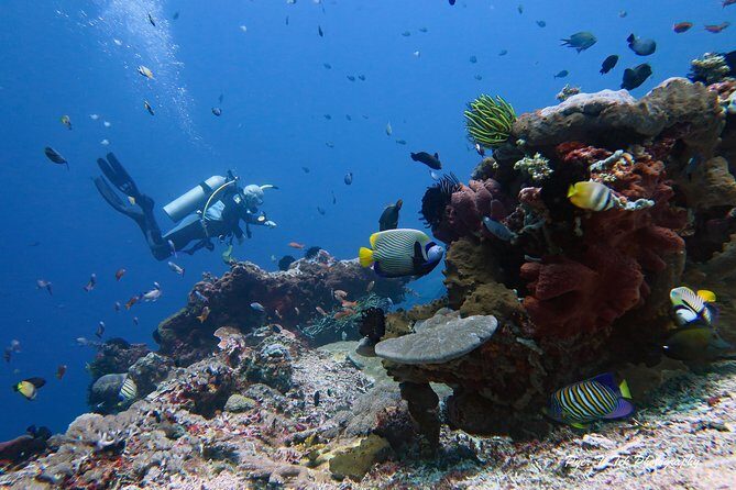 Nusa Penida Day Trip for 3 dives - Safety first: small ratios and drift-friendly planning