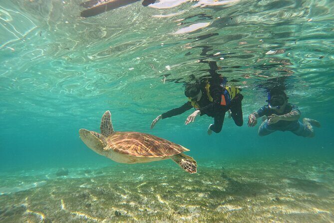 Nusa Penida & Gili Trawangan 3Days 2Night (Snorkeling) - Who should book this snorkeling combo (and who should skip it)