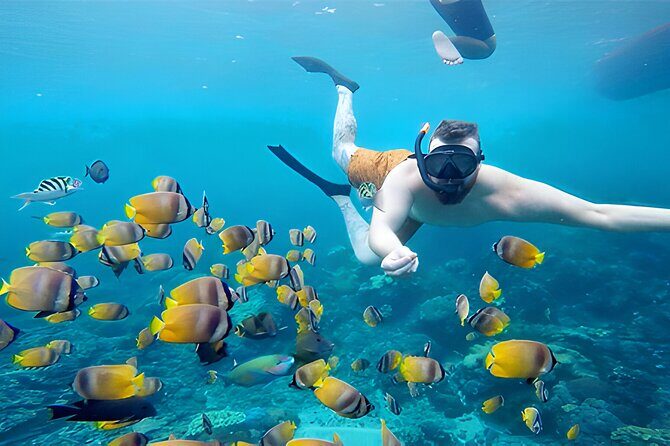 Nusa Penida Island Beach Tour With Snorkeling - Departure From Bali Island - Lunch and Breaks: Set Menu, Refreshed Energy, Then Back to Sightseeing