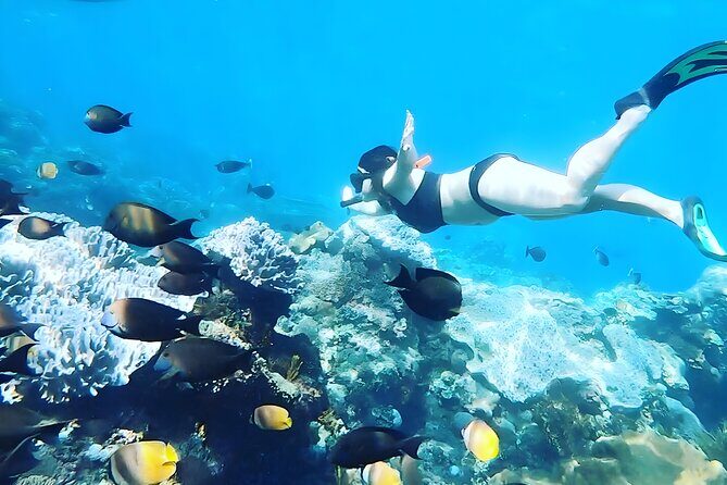 Nusa Penida Island Beach Tour With Snorkeling - Departure From Bali Island - Price and Logistics: Why $120 Can Make Sense (and When It Might Not)
