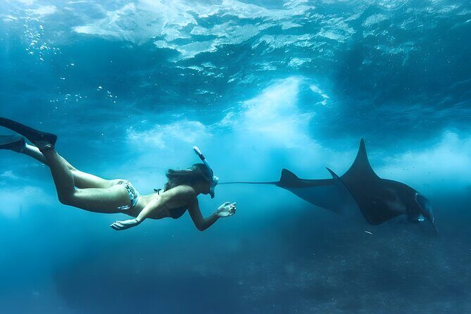 Nusa Penida Island Beach Tours with Snorkeling From Bali - Key highlights worth planning around