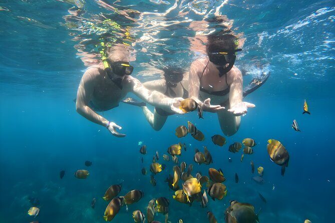 Nusa Penida Island Beach Tours with Snorkeling From Bali - Penida in One Long Day: how the 10-hour plan really works