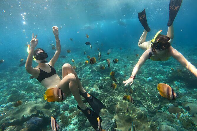 Nusa Penida Island Beach Tours with Snorkeling From Bali - Snorkeling at Gamat Bay, Crystal Bay, and Manta Bay (with kit provided)