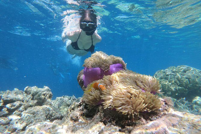 Nusa Penida Island Tour Package With Snorkeling - Key highlights to know before you go