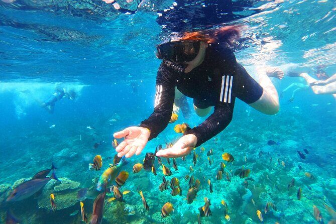 Nusa Penida Island Tour Package With Snorkeling - Who this tour suits best