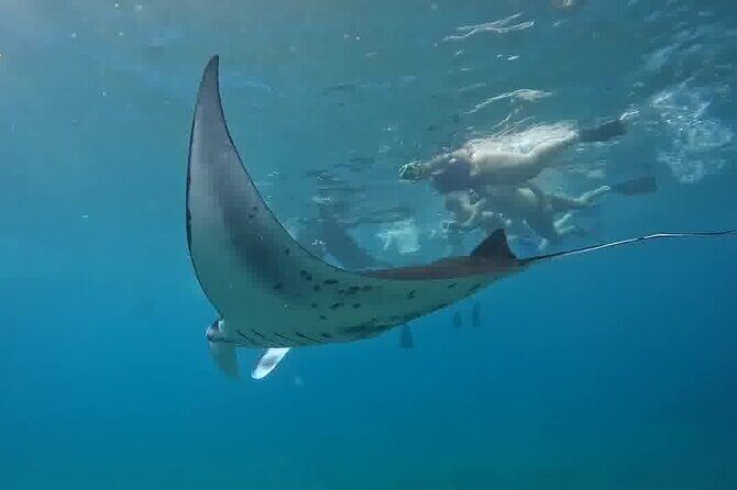 Nusa Penida Land Tour and 4 Points Snorkeling with Manta - Key Highlights Worth Booking For