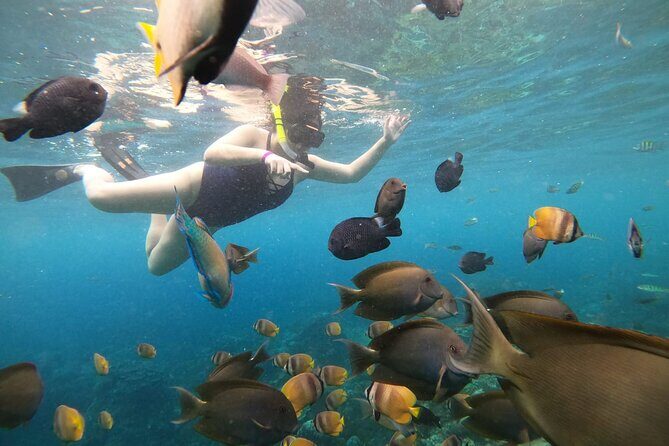 Nusa Penida Land Tour and 4 Points Snorkeling with Manta - The Guide Factor: Professional, Friendly, and Photo-Helpful