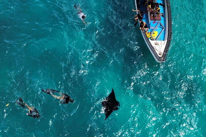 Nusa Penida Private Snorkeling and West Tour Start from Bali - Key things that make this trip worth your time