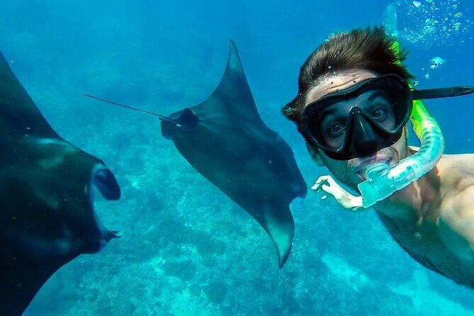 Nusa Penida Snorkeling 3 Point with Manta Bay & Land Tour - Morning kickoff from Ubud to Sanur: the 6:30 plan
