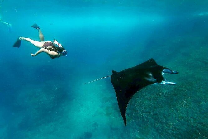 Nusa Penida Snorkeling 3 Point with Manta Bay & Land Tour - Snorkeling at Penida: Manta Bay, Gamat/Wall Point, Crystal Bay