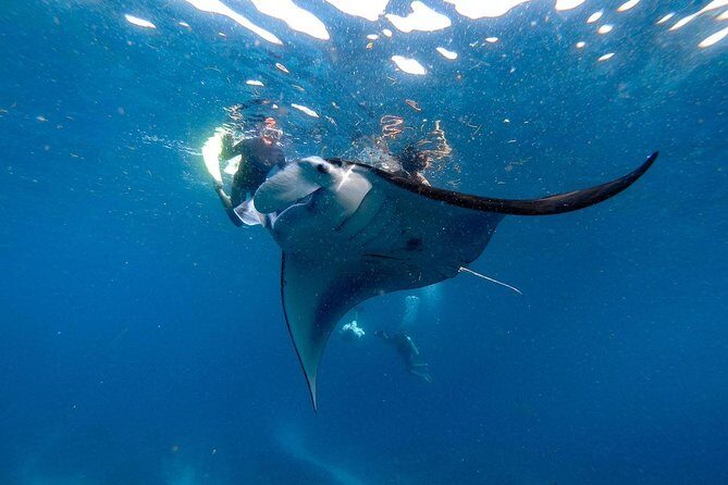 Nusa Penida Snorkeling Adventure (Private & All-Inclusive) - Lunch, gear, and GoPro memories: Where your money goes
