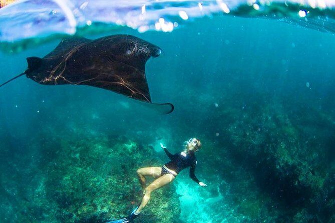 Nusa Penida Snorkeling & Kelingking Tour - Quick hits before you go