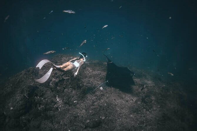 Nusa Penida : Snorkeling Trip Manta Point, Gamat Bay and Wall Bay - Price and Value: What $27.49 Actually Buys